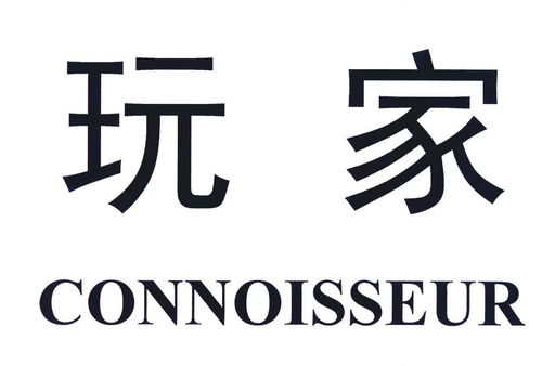 玩家 connoisseur商标注册第16类 办公用品类商标信息查询,商标状态查询 路标网