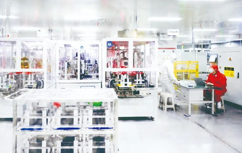 乘 风 逐 绿 积蓄高质量发展新势能——新质生产力盐阜调研行走进大丰商务信息咨询