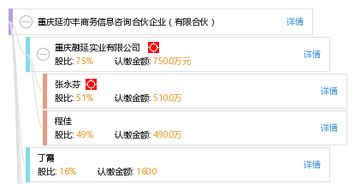 重庆延亦丰商务信息咨询合伙企业 专业服务与合规运营的有限合伙典范